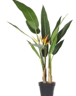 Kunstig plante STRELITZIA TREE 115 cm Grøn