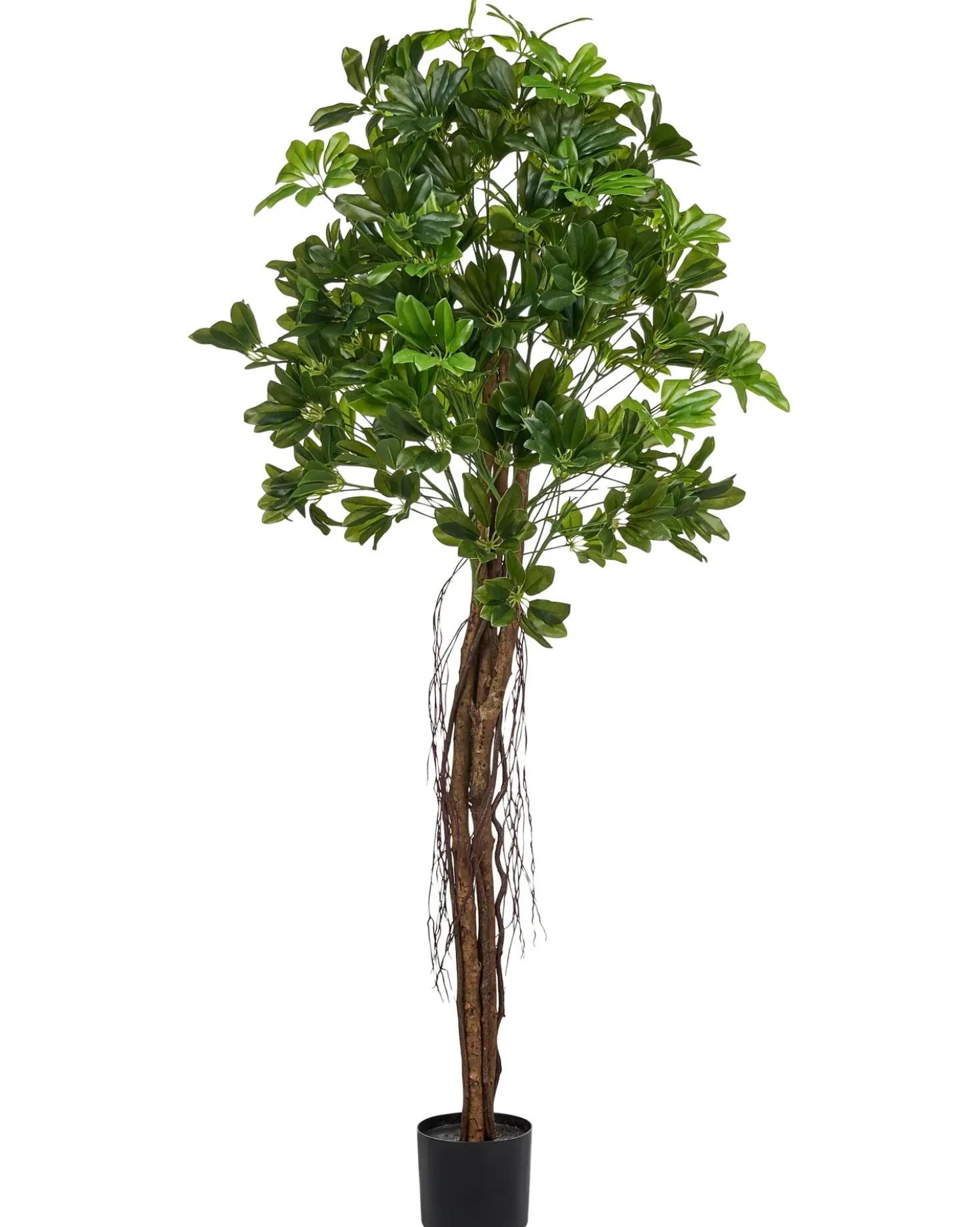 Kunstig plante UMBRELLA TREE 175 cm Grøn