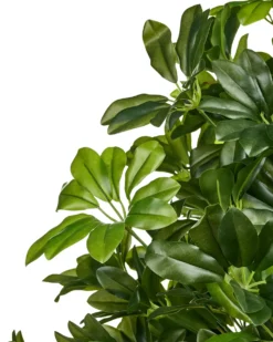 Kunstig plante UMBRELLA TREE 175 cm Grøn