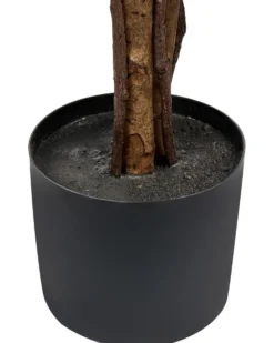 Kunstig plante UMBRELLA TREE 175 cm Grøn