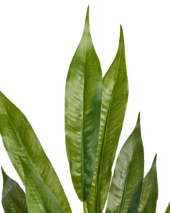 Kunstig plante WILLOW TREE 180 cm