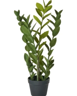 Kunstig plante ZAMIIFOLIA 76 cm Grøn