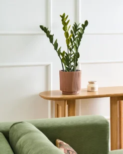 Kunstig plante ZAMIIFOLIA 76 cm Grøn