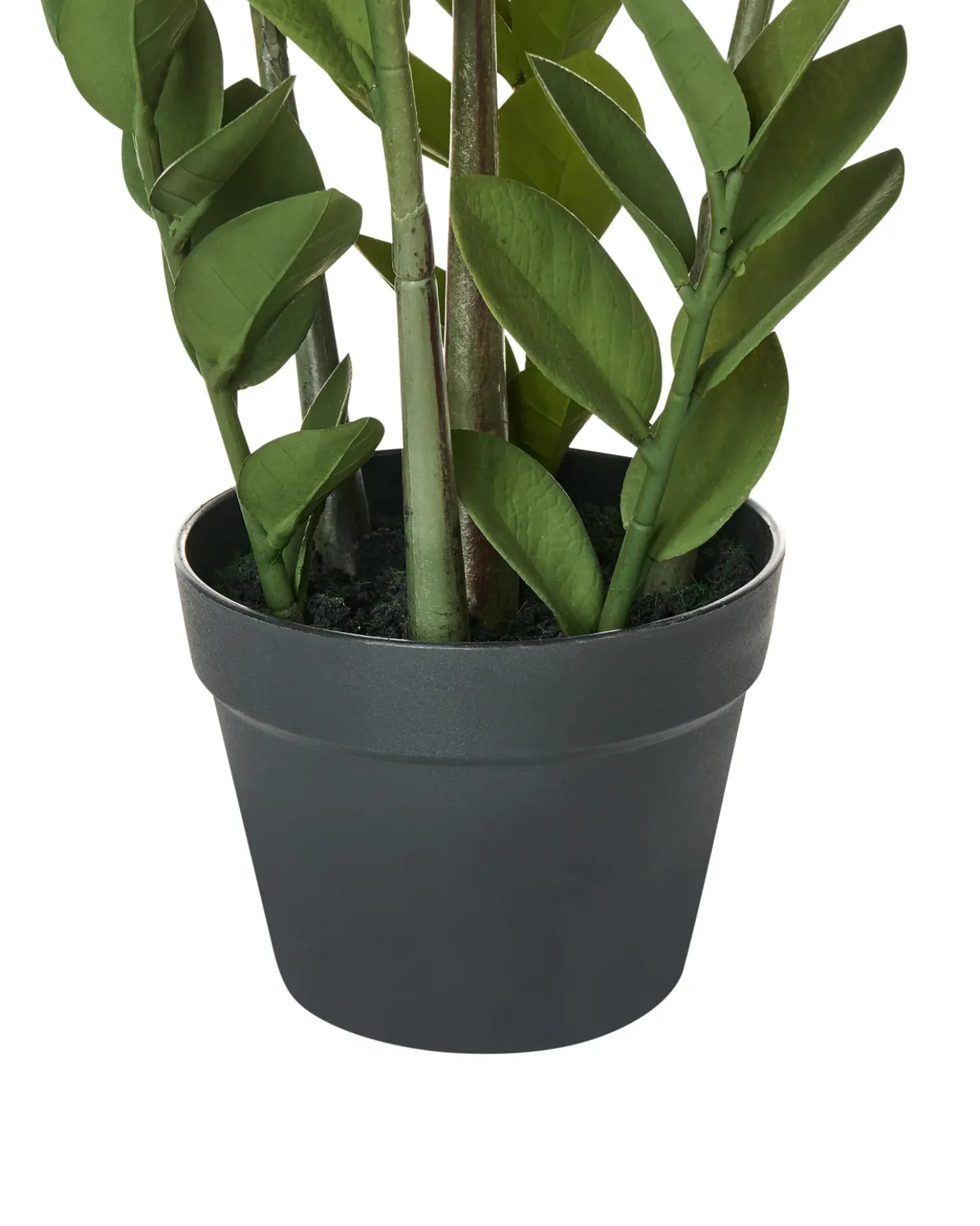 Kunstig plante ZAMIIFOLIA 76 cm Grøn