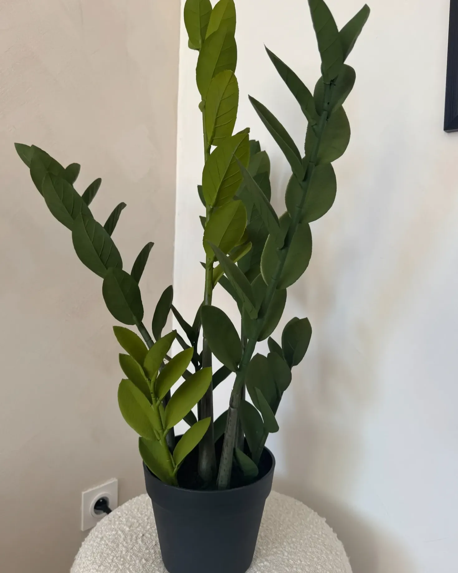 Kunstig plante ZAMIIFOLIA 76 cm Grøn