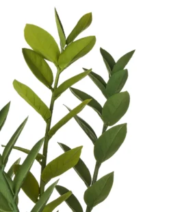 Kunstig plante ZAMIIFOLIA 76 cm Grøn