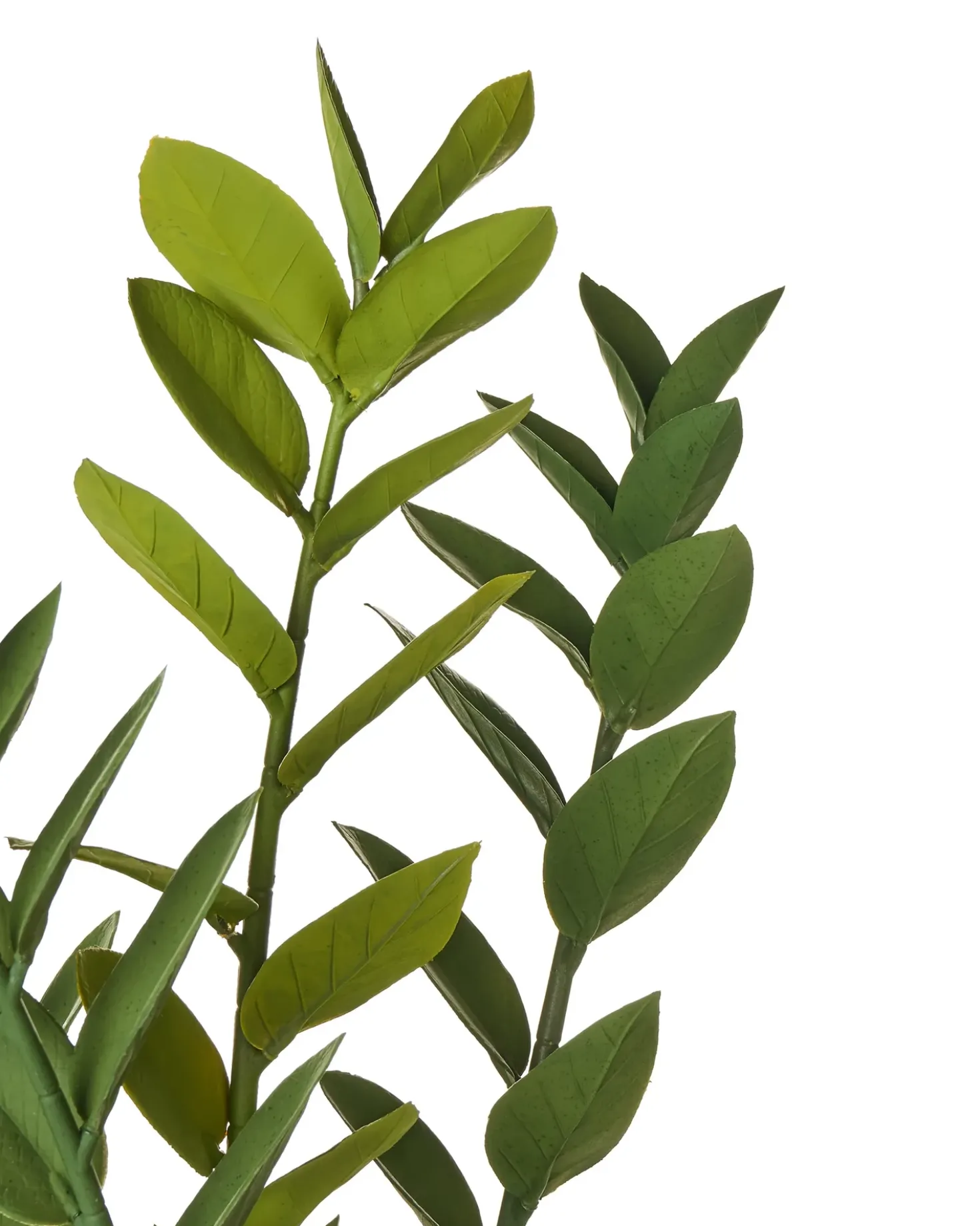 Kunstig plante ZAMIIFOLIA 76 cm Grøn
