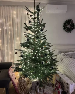 Lanterne MAURITIUS Piletræ 40 cm Naturlig