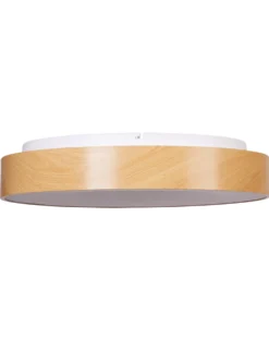 LED loftslampe BRAGOTO Med fjernbetjening Med dæmpning Metal Lysebrun