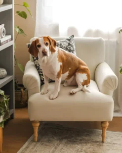 Lænestol FREDROS Lys Beige