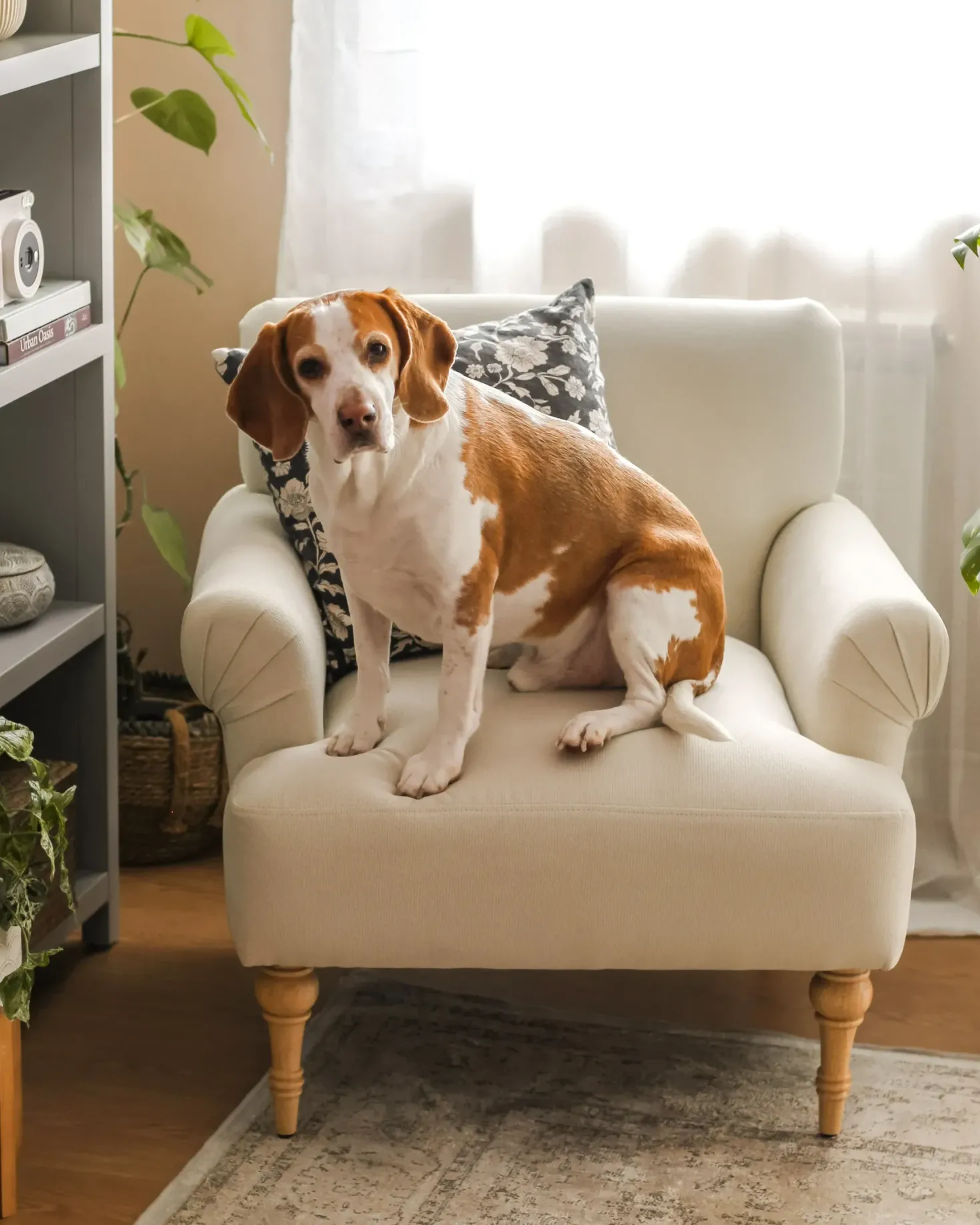Lænestol FREDROS Lys Beige