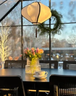 Loftlampe TUCURO Hvid