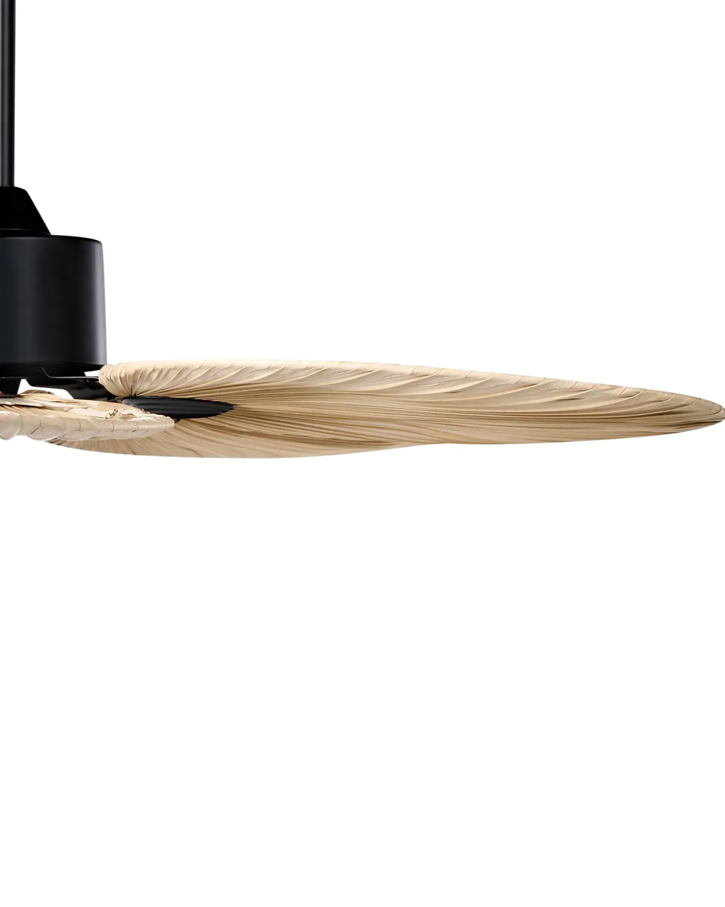 Loftsventilator MAMMOTH Med fjernbetjening Naturlig