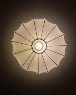 Plafond UMCHABEZI Hvid