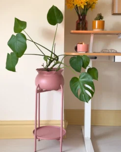 Plantestativ MOKUREN 25 cm Lyserød Metal