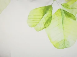 Pyntepude PEPEROMIA Bomuld 45 x 45 cm Hvid Plante mønster