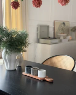 Serveringsbakke med 3 skåle og teske PATRAS Sten Multifarvet