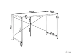 Skrivebord ANDASTE Hvid 120 cm 60 cm