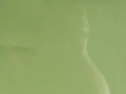 Sofabord ONDLE Grøn