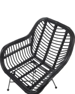 Spisebordsstol CANORA Rattan Sort