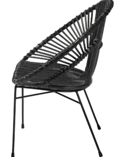 Spisebordsstol SARITA Rattan Sort