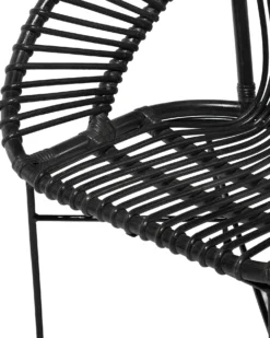 Spisebordsstol SARITA Rattan Sort