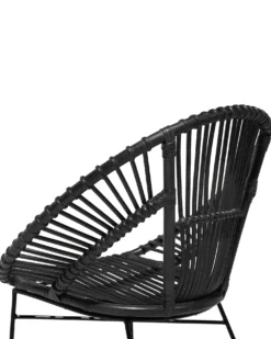 Spisebordsstol SARITA Rattan Sort
