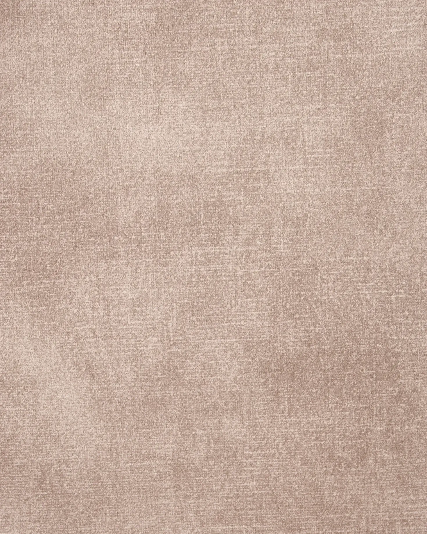 Sæt med 2 spisebordsstole HALLETT Velour Beige