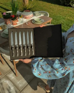 Sæt med 6 steakknive TOYAMA Sort