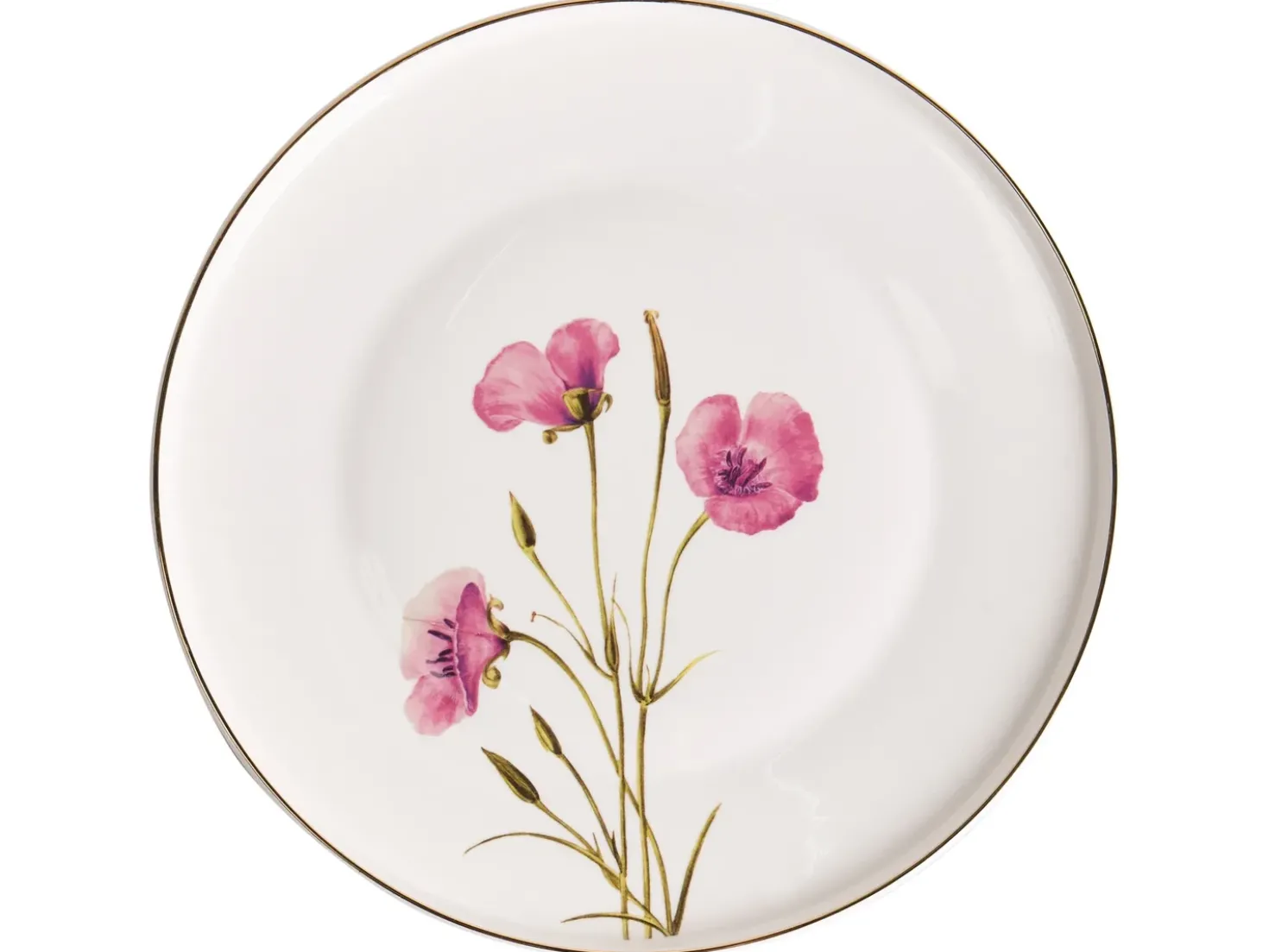 Sæt med 12 stykker service HYSSOP Porcelæn Hvid