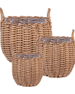 Sæt af 3 flet kurve til planter AUCUBA 26/34/44 cm Lysebrun