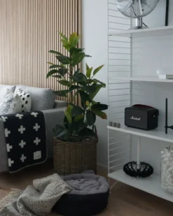 Sæt af 2 flet kurve til planter BITOLA 40/48 cm Brun PE-rattan