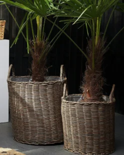 Sæt af 2 flet kurve til planter BITOLA 40/48 cm Brun PE-rattan