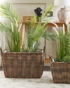 Sæt af 2 flet kurve til planter ORMOS 53/59 cm Brun PE-rattan