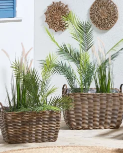 Sæt af 2 flet kurve til planter ORMOS 53/59 cm Brun PE-rattan