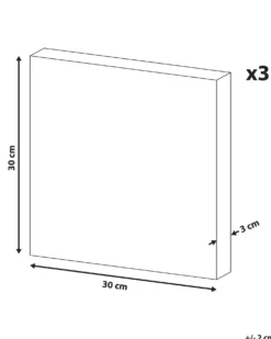 Sæt af 3 fotorammer TILLIA Dyre motiv 30 x 30 cm Multifarvet