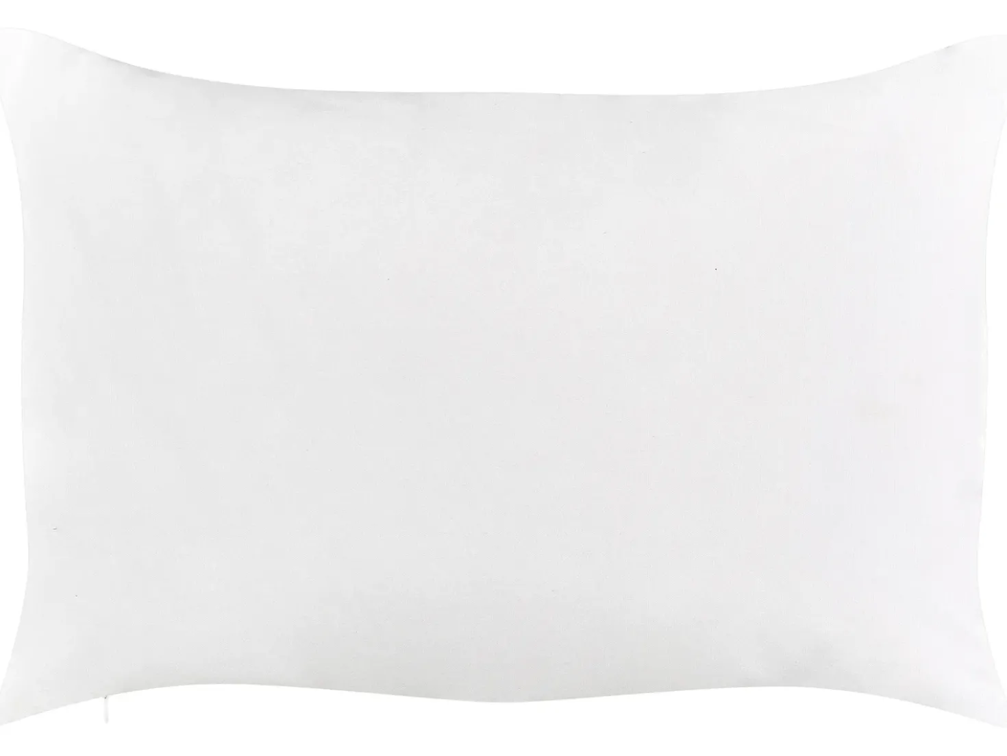 Sæt af 2 havehynder CANNETO Dyremønster 40 x 60 cm Beige