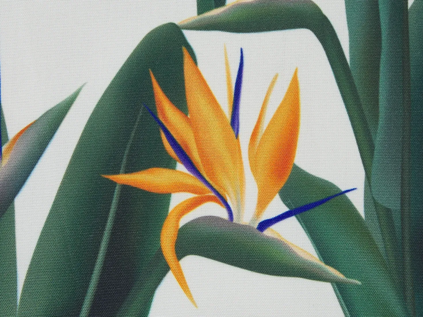 Sæt af 2 havehynder TSOTYLI Blomstermønster 45 x 45 cm Grøn
