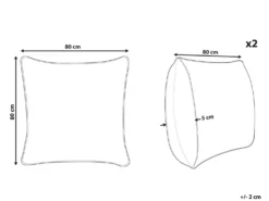 Sæt af 2 hovedpuder PELISTER Høj Microfiber 80 x 80 cm Hvid