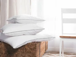Sæt af 2 hovedpuder PELISTER Lav Microfiber 80 x 80 cm Hvid
