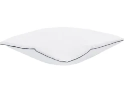 Sæt af 2 hovedpuder PELISTER Lav Microfiber 80 x 80 cm Hvid