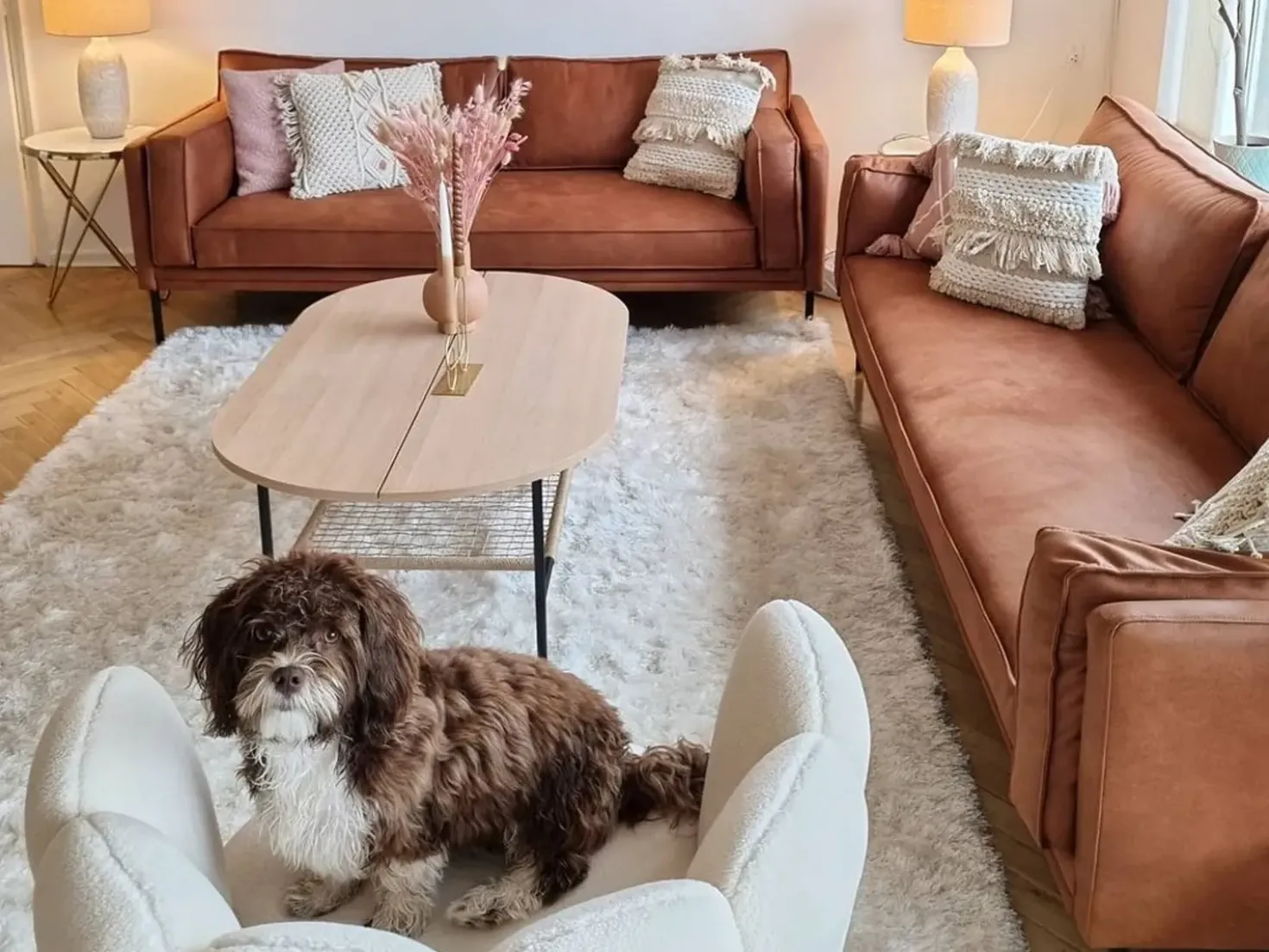 Sæt af 2 pyntepuder VILLUR Bomuld 45 x 45 cm Beige Stribet mønster