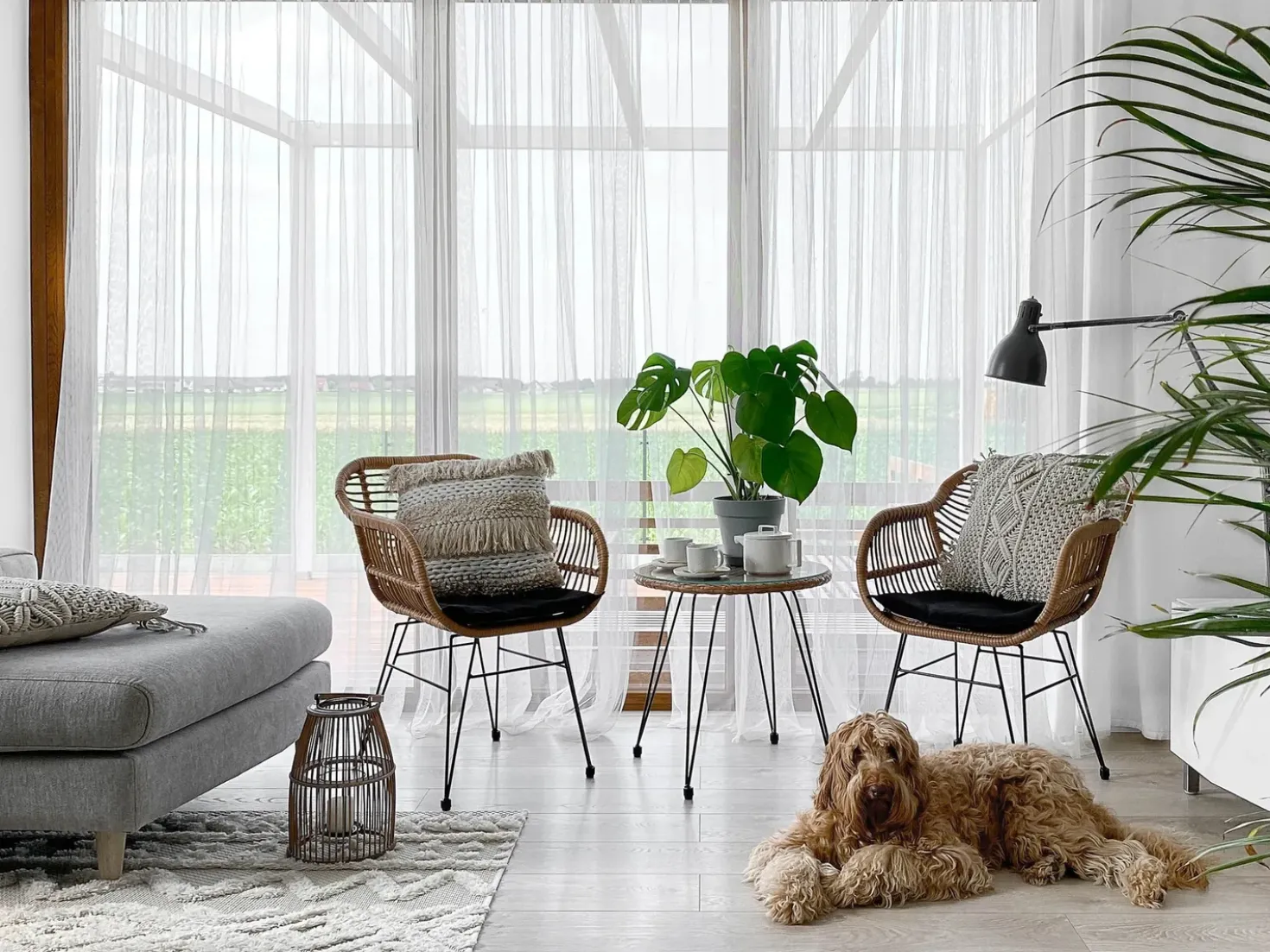 Sæt af 2 pyntepuder VILLUR Bomuld 45 x 45 cm Beige Stribet mønster