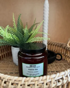 Sæt med 2 duftlys ABSOLUTE ALCHEMY Soja voks Fresh notes