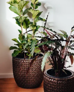 Sæt med 2 plantekrukker BERBERIS 34/45 cm Mørkebrun PE-rattan