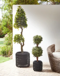 Sæt med 2 plantekrukker BRODIEA PE-rattan 26/45 cm Sort