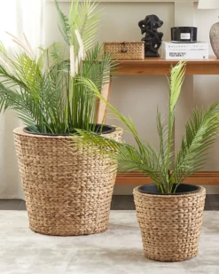 Sæt med 3 plantekrukker PLAKA 29/37/49 cm Naturlig Vandhyacint