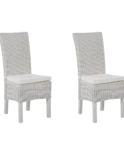 Sæt med 2 spisebordsstole ANDES Rattan Hvid