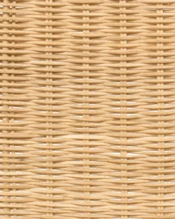 Sæt med 2 spisebordsstole ROXTON Rattan Naturlig