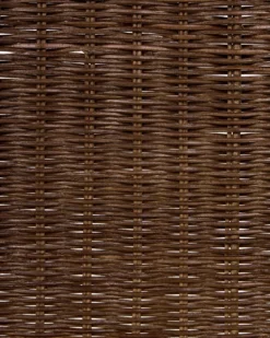 Sæt med 2 spisebordsstole ROXTON Rattan Mørkebrun